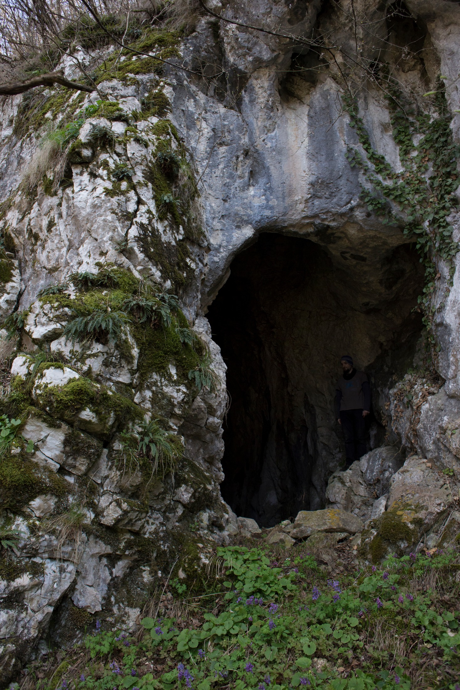 Intrarea Pestera cu Put - Foto: Stanescu Octavian